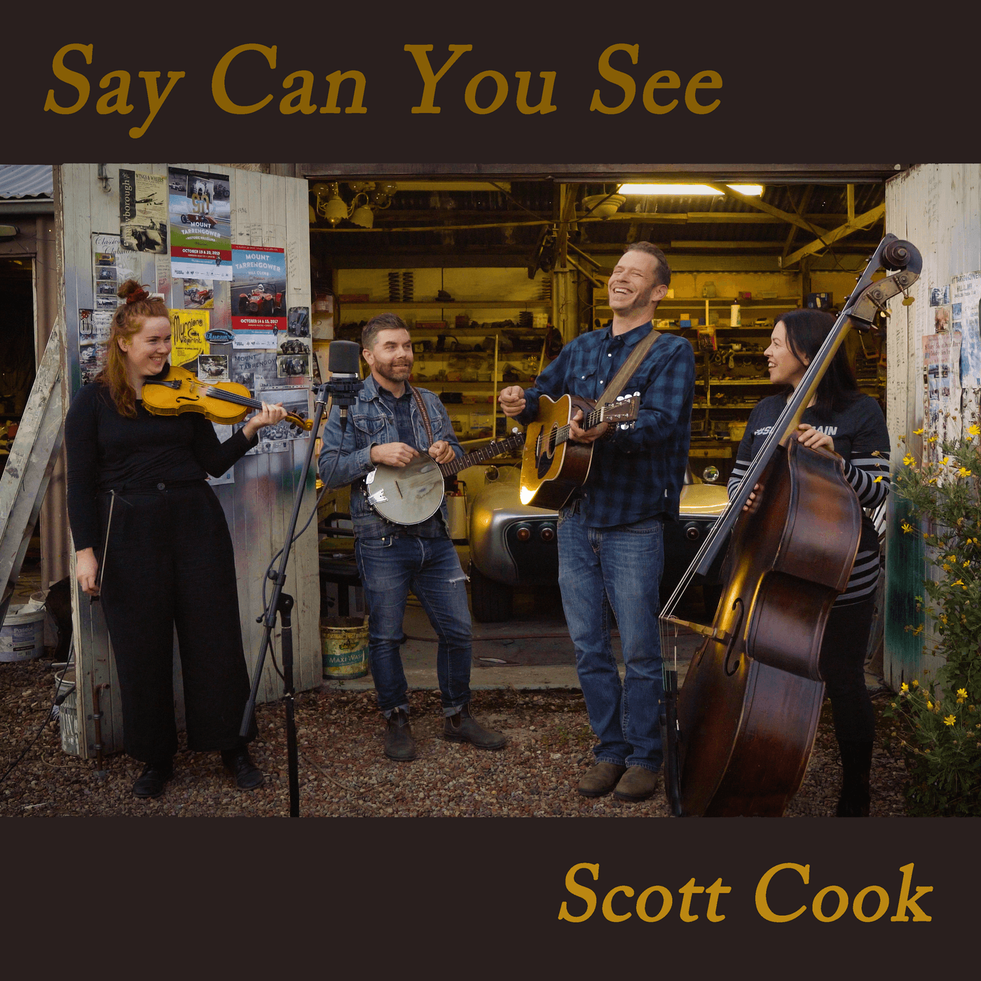 Say Can You See