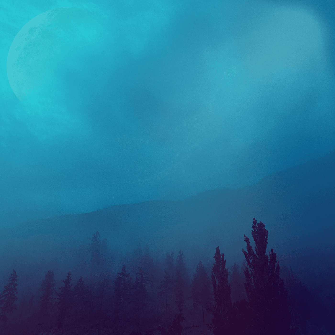 dreaming of the sky