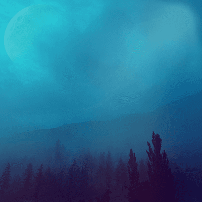 dreaming of the sky
