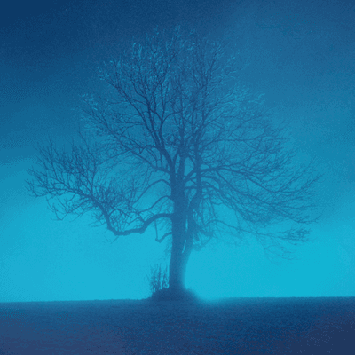 consciousness