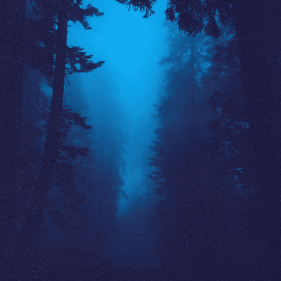 i'll find my way