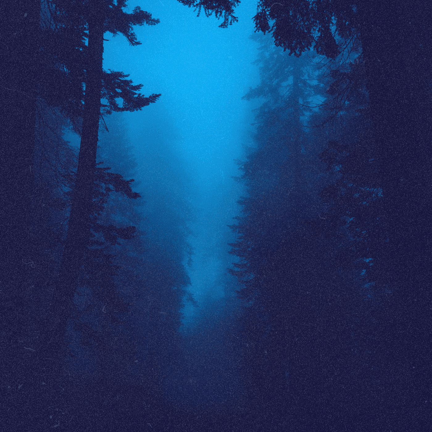 i'll find my way