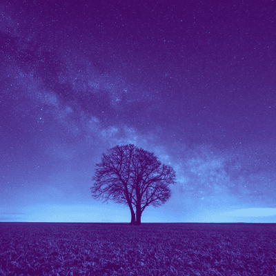 we are made of stardust